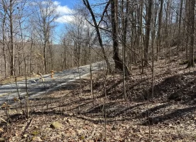 176+/-acres Unrestricted wooded property.