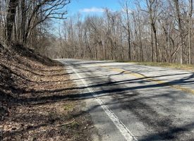 176+/-acres Unrestricted wooded property.