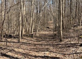 176+/-acres Unrestricted wooded property.