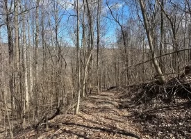 176+/-acres Unrestricted wooded property.