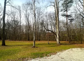 SOLD!! Your dream of living in a gorgeous 5 bedroom 2 1/2 bath home on the Cumberland Plateau