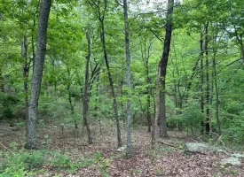 SOLD!! 20+/-acres Unrestricted property