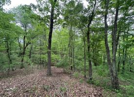 SOLD!! 20+/-acres Unrestricted property