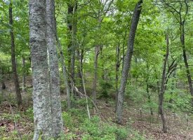 SOLD!! 20+/-acres Unrestricted property