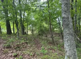 SOLD!! 20+/-acres Unrestricted property