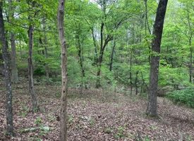 SOLD!! 20+/-acres Unrestricted property