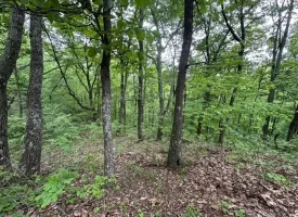 SOLD!! 20+/-acres Unrestricted property