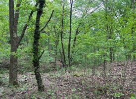 SOLD!! 20+/-acres Unrestricted property