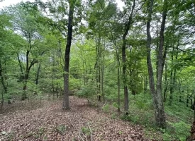 SOLD!! 20+/-acres Unrestricted property