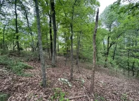 SOLD!! 20+/-acres Unrestricted property