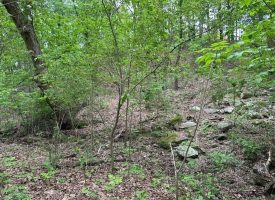 SOLD!! 20+/-acres Unrestricted property