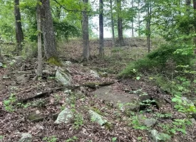 SOLD!! 20+/-acres Unrestricted property