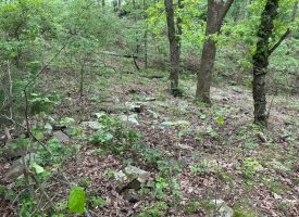 SOLD!! 20+/-acres Unrestricted property