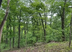 SOLD!! 20+/-acres Unrestricted property