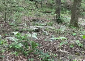 SOLD!! 20+/-acres Unrestricted property