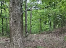 SOLD!! 20+/-acres Unrestricted property