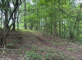 SOLD!! 20+/-acres Unrestricted property