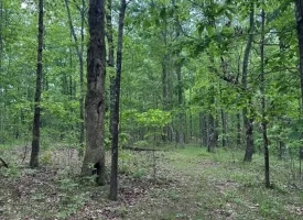 39.58+/-acres overlooking the beautiful Nick-A-Jack Lake