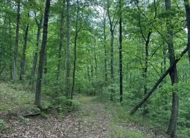 39.58+/-acres overlooking the beautiful Nick-A-Jack Lake