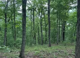 39.58+/-acres overlooking the beautiful Nick-A-Jack Lake