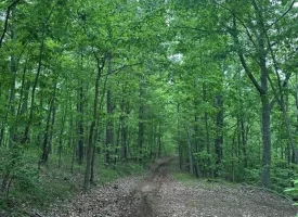 39.58+/-acres overlooking the beautiful Nick-A-Jack Lake