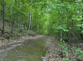 39.58+/-acres overlooking the beautiful Nick-A-Jack Lake