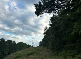 39.58+/-acres overlooking the beautiful Nick-A-Jack Lake