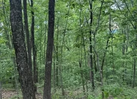 39.58+/-acres overlooking the beautiful Nick-A-Jack Lake