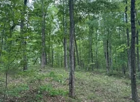 39.58+/-acres overlooking the beautiful Nick-A-Jack Lake