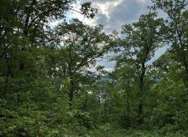 39.58+/-acres overlooking the beautiful Nick-A-Jack Lake