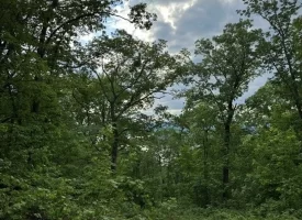 39.58+/-acres overlooking the beautiful Nick-A-Jack Lake