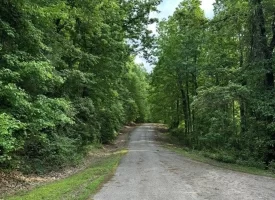 39.58+/-acres overlooking the beautiful Nick-A-Jack Lake