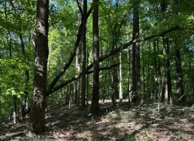 SOLD!! 12+/-acres. Incredible bluff views with beautiful sunsets