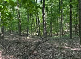 SOLD!! 12+/-acres. Incredible bluff views with beautiful sunsets