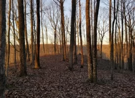 SOLD!! 12+/-acres. Incredible bluff views with beautiful sunsets
