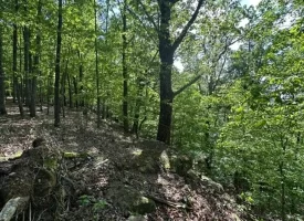 SOLD!! 12+/-acres. Incredible bluff views with beautiful sunsets