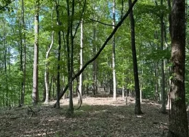 SOLD!! 12+/-acres. Incredible bluff views with beautiful sunsets