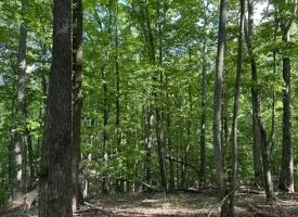 SOLD!! 12+/-acres. Incredible bluff views with beautiful sunsets