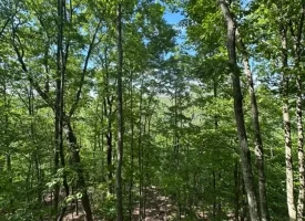SOLD!! 12+/-acres. Incredible bluff views with beautiful sunsets