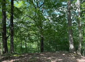 SOLD!! 12+/-acres. Incredible bluff views with beautiful sunsets