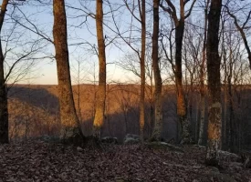 SOLD!! 12+/-acres. Incredible bluff views with beautiful sunsets
