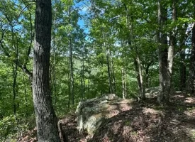 SOLD!! 12+/-acres. Incredible bluff views with beautiful sunsets