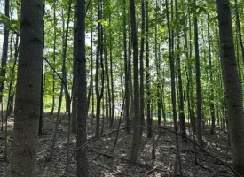 SOLD!! 12+/-acres. Incredible bluff views with beautiful sunsets