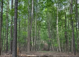 SOLD!! 12+/-acres. Incredible bluff views with beautiful sunsets