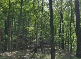 SOLD!! 12+/-acres. Incredible bluff views with beautiful sunsets