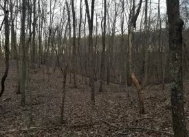 SOLD!! 12+/-acres. Incredible bluff views with beautiful sunsets