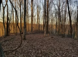 SOLD!! 12+/-acres. Incredible bluff views with beautiful sunsets