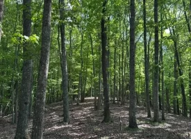 SOLD!! 12+/-acres. Incredible bluff views with beautiful sunsets