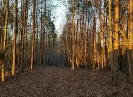 SOLD!! 12+/-acres. Incredible bluff views with beautiful sunsets