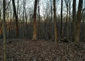 SOLD!! 12+/-acres. Incredible bluff views with beautiful sunsets